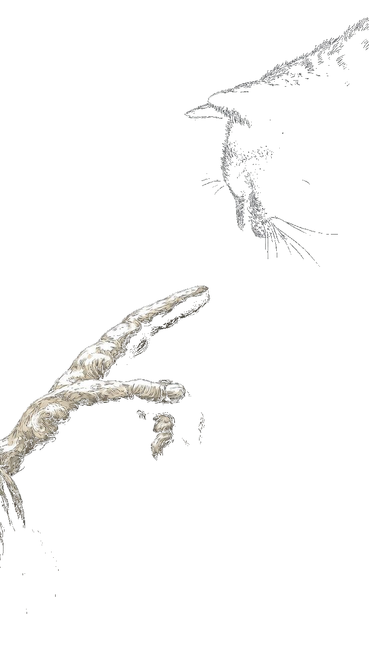 PRINT READY — bg removed, 300 DPI, CMYK-ready PNG